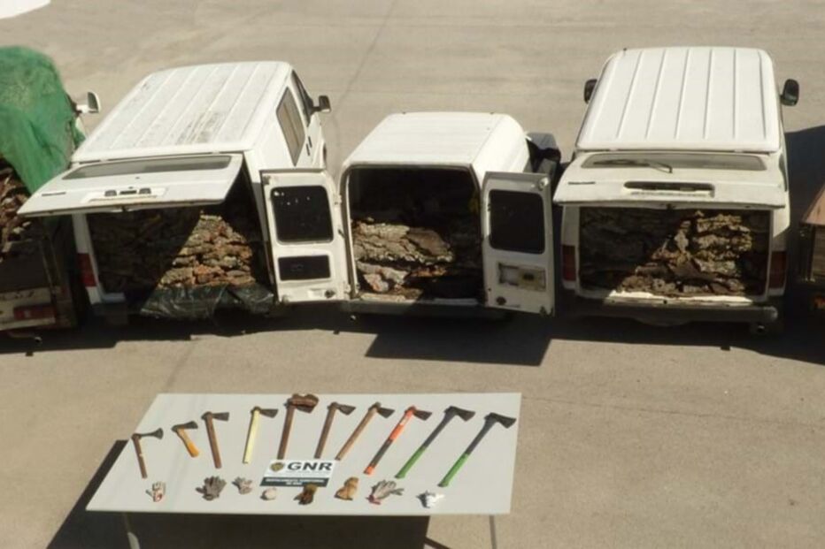 Apreensão de cortiça