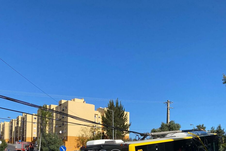 Despiste de autocarro fere cinco pessoas em Loures