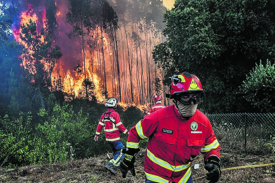 Incêndios florestais