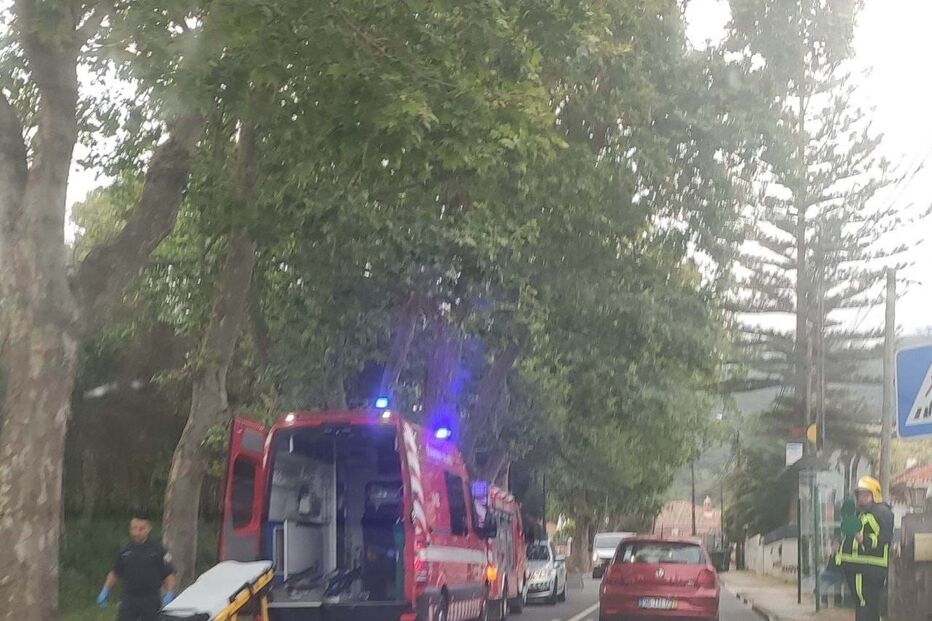 Atroplemaneto em Galamares, Sintra