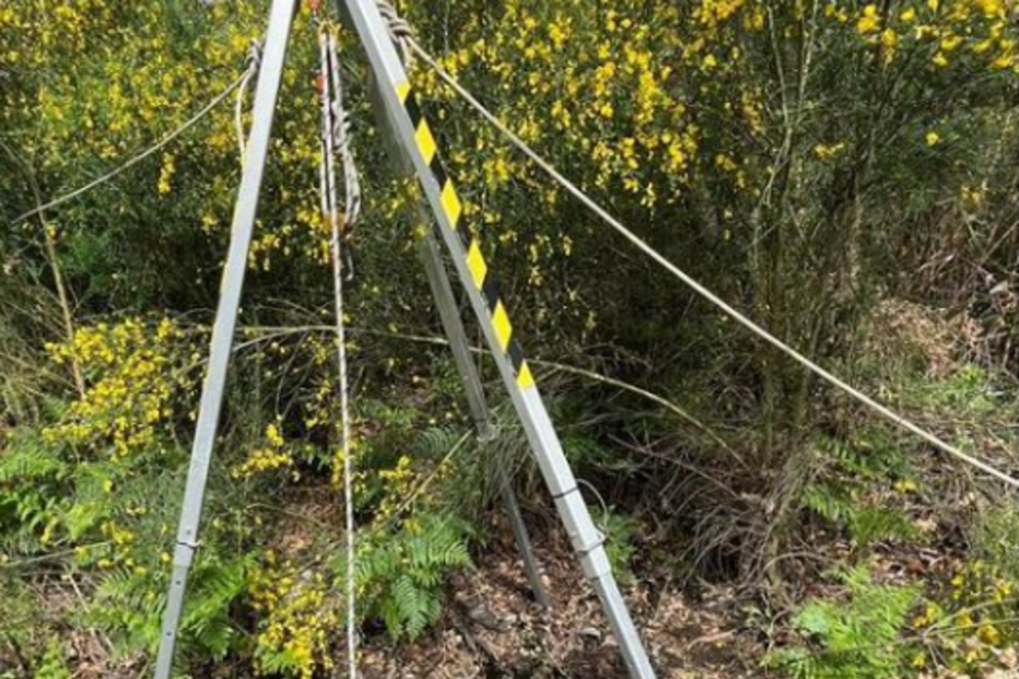 Bombeiros de Freamunde resgatam cadela de poço 