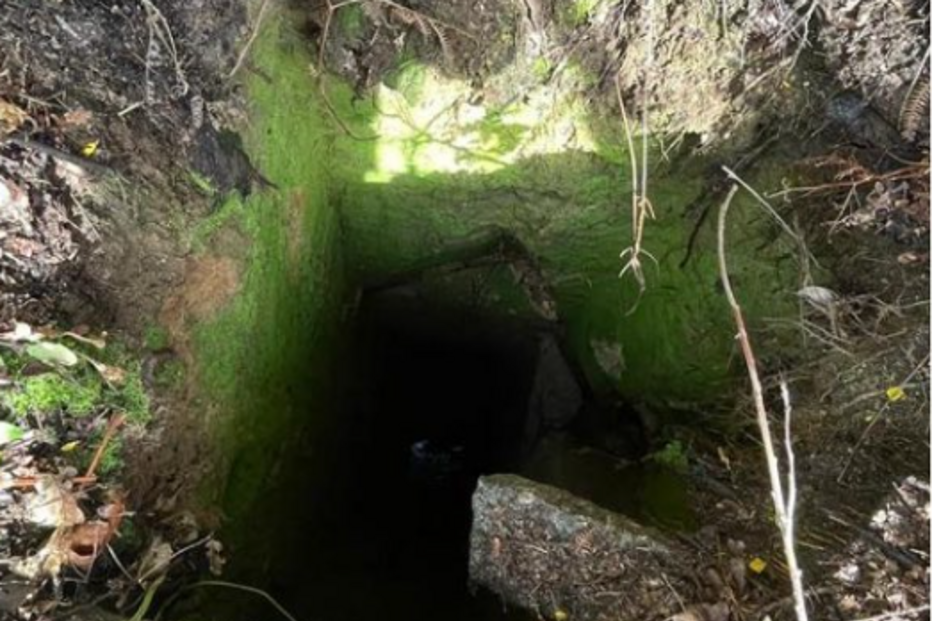 Bombeiros de Freamunde resgatam cadela de poço 