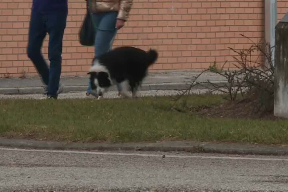 Analista informático acusado de agredir quatro filhos e violar e sequestrar a mulher em Leiria