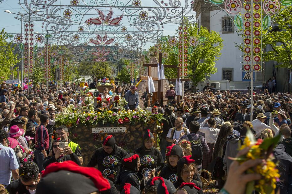2023-04-28_14_17_02 Batalha Flores (1).jpg