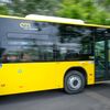<![CDATA[ Aprovado alargamento a todo o país dos transportes gratuitos para ex-combatentes ]]>