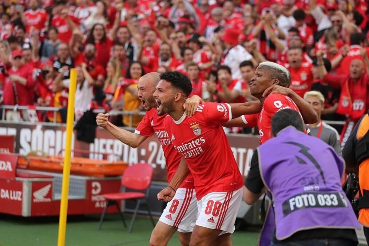 2023-05-29_11_02_17 showimage.jpg