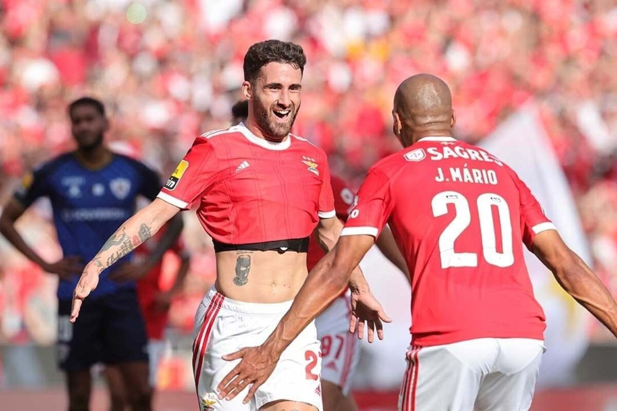 2023-05-29_11_12_41 showimage (1).jpg