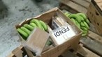 Encontradas mais de quatro toneladas de cocaína dentro de contentor de bananas no porto de Setúbal