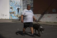 João Rocha, de 63 anos, morador do Bairro Branco na Picheleira