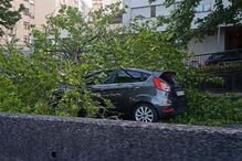 Árvore cai em cima de carro em Braga