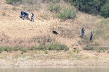 Buscas, Maddie, 23 de maio, barragem do Arade