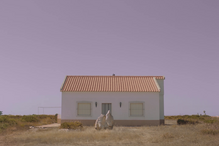 2023-05-24_20_16_07 O Anacleto disse que não.png