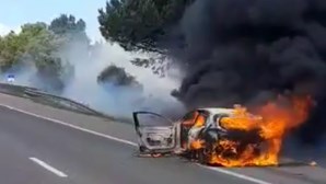 Carro pega fogo na A12 perto do Pinhal Novo e chamas propagam-se a zona de mato 