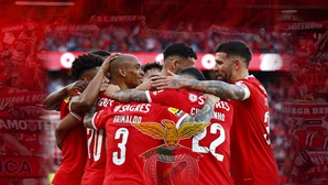 Benfica campeão: O guia do título