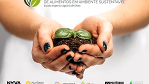 Produção e transformação de alimentos em ambiente sustentável debatidas em Elvas