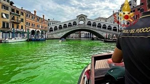 Mancha verde brilhante no Grande Canal de Veneza já tem explicação. Saiba qual