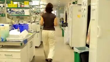 Cientistas portuguesas fazem descobertas importantes na área do cancro e fertilidade 