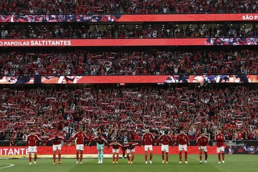 2023-05-19_10_53_11 luz2.jpg