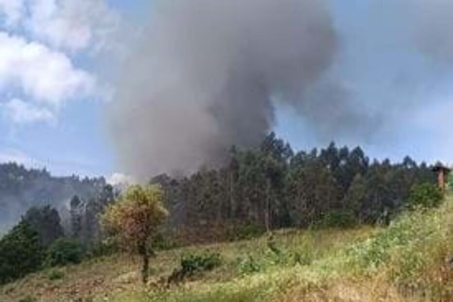 Incêndio em Castelo de Paiva