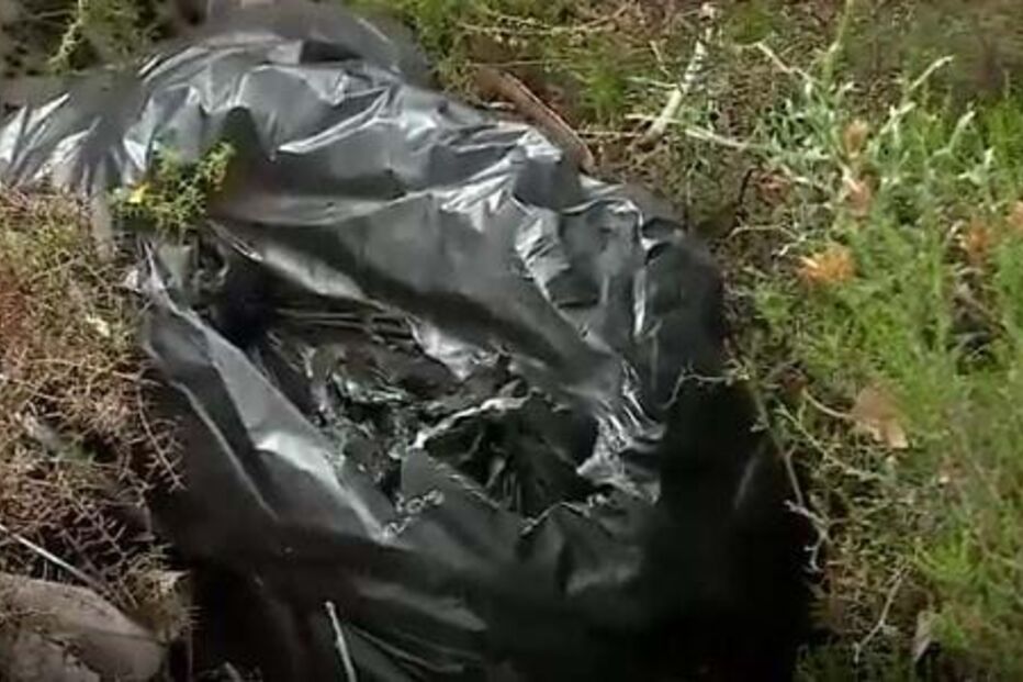 Judiciária segue pista de tráfico do Brasil para identificar corpo desmembrado do Cadaval