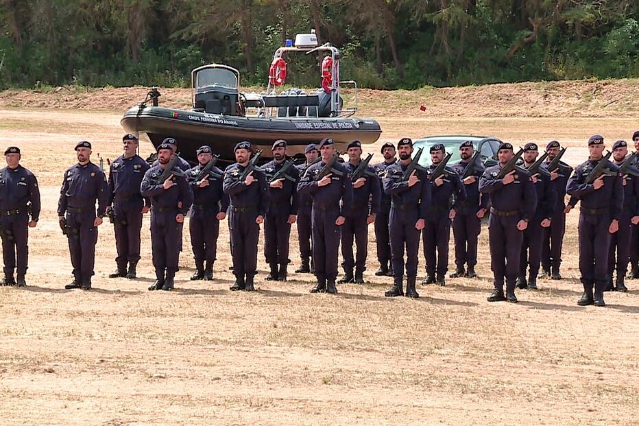 Unidade Especial de Polícia  da PSP