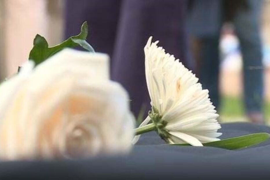 violência doméstica