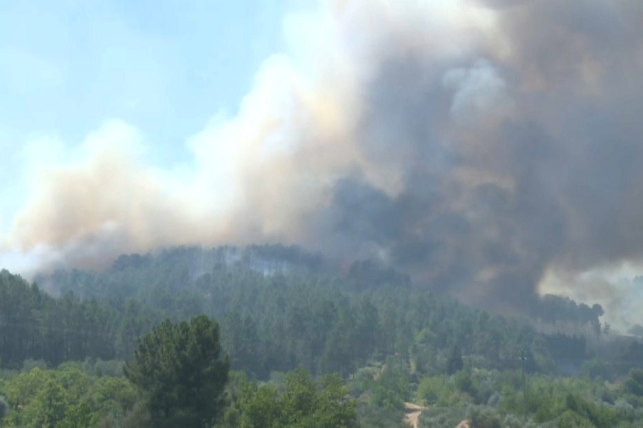 Produtores desesperam por apoios prometidos pelo Governo no incêndio que dizimou Parque Natural da Serra da Estrela