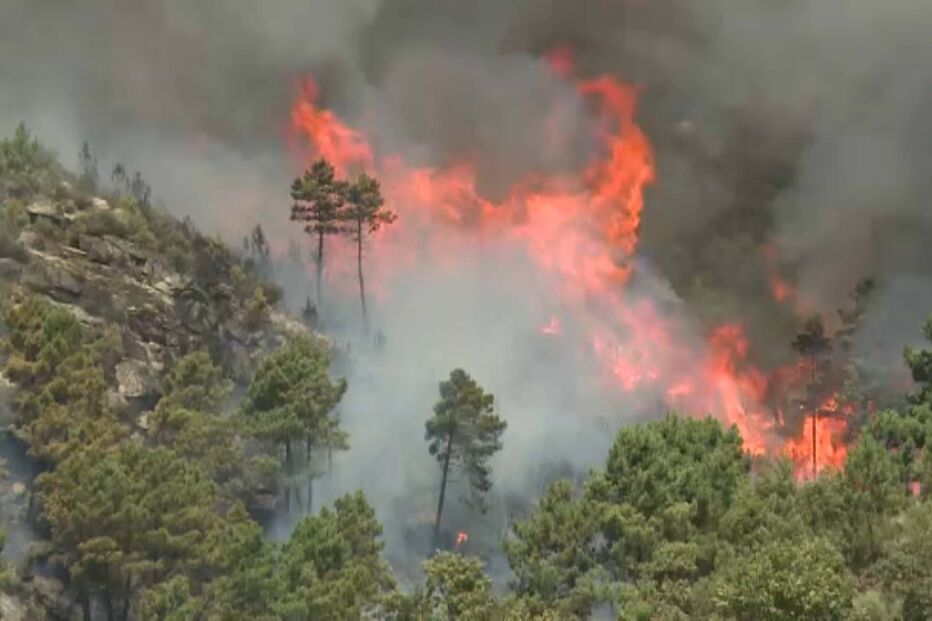 Incêndio em Sabrosa