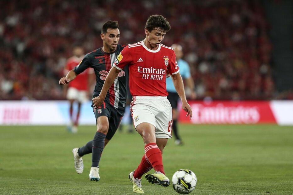 João Neves, Benfica