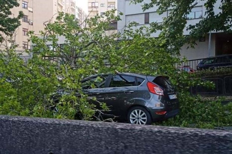 Árvore cai em cima de carro em Braga