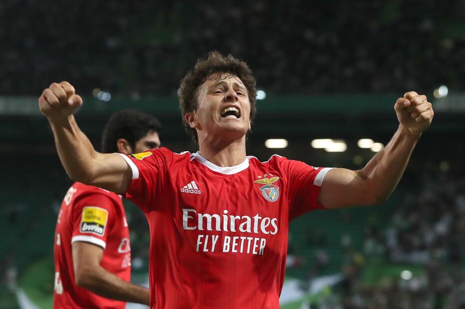 João Neves, Benfica