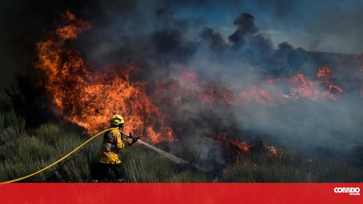 Calor deixa mais de 50 concelhos de oito distritos em perigo máximo de incêndio – Clima