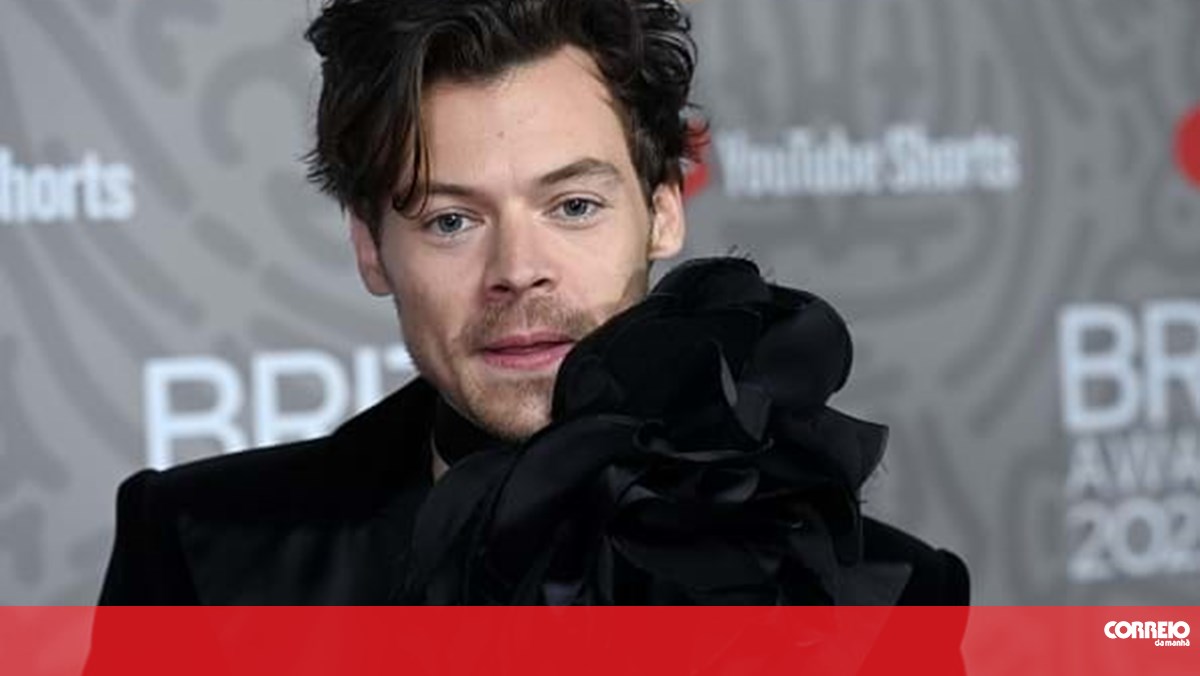 Harry Styles interrompe concerto para deixar mulher grávida ir à casa de banho no País de Gales - Famosos