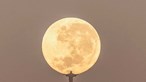 Fotógrafo brasileiro esperou três anos para registar imagem do Cristo Redentor a ‘segurar’ na lua 