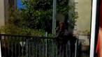 Homem filmado a invadir escola momentos antes de esfaquear aluno