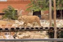 Publicações de The Weekknd 