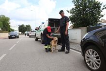 GNR faz buscas para encontrar idoso desaparecido de lar em Oliveira do Hospital