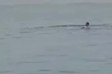 Jovem atacado por tubarão-tigre