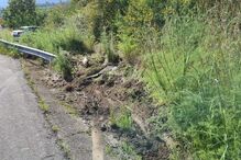 2023-06-11_18_03_25 3e4cabdd-a619-4379-abad-b274bf025811.jpg