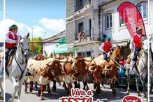 2023-06-14_12_41_16 1.jpg
