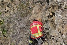 Bombeiros Mistos de Grândola salvam cadela presa em parede de antiga pedreira