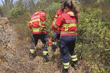 Bombeiros Mistos de Grândola salvam cadela presa em parede de antiga pedreira