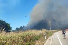 Incêndio em zona de mato em Aveiro