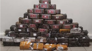 Autoridades gregas encontram 3,2 milhões de euros em cocaína dentro de contentores de bananas