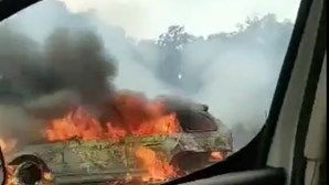 Carro pega fogo na A2 em Alcácer do Sal e chamas dão origem a incêndio florestal