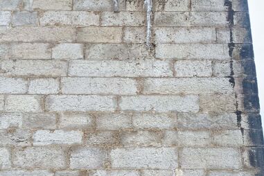 'Graffiti' no aqueduto das Águas Livres