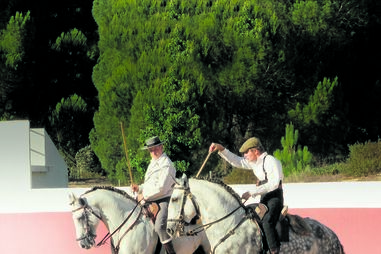 António Telles Filho
