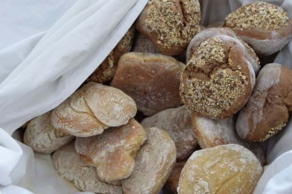 2023-06-01_15_28_51 FPAlbergaria2.JPG