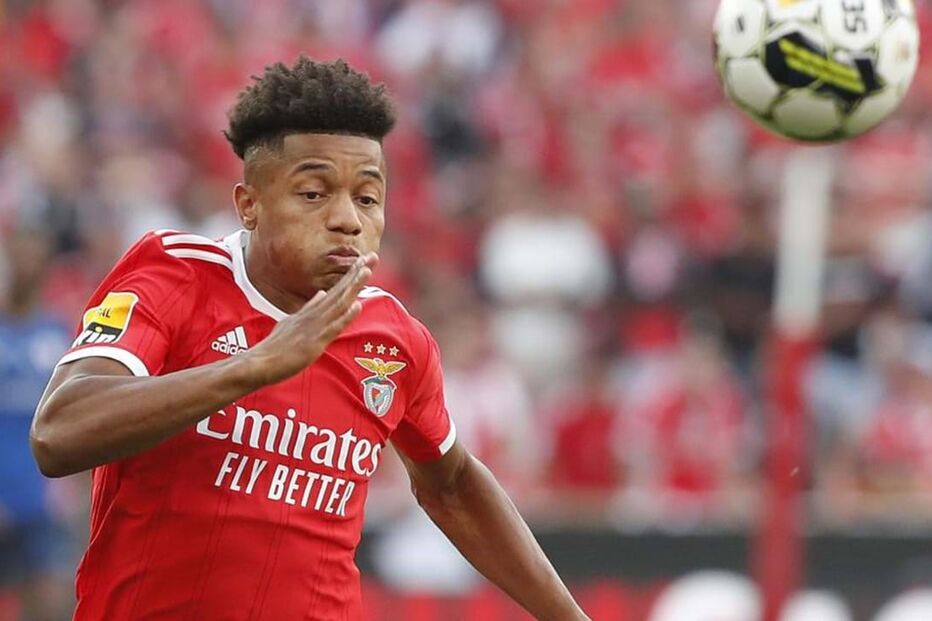 2023-06-01_17_20_32 47667814.JPG