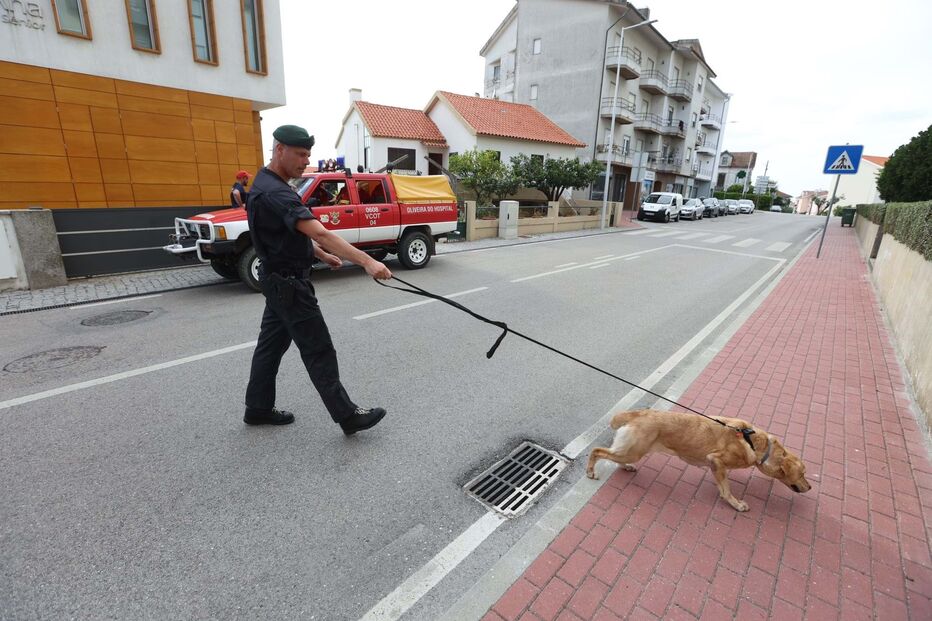 GNR faz buscas para encontrar idoso desaparecido de lar em Oliveira do Hospital
